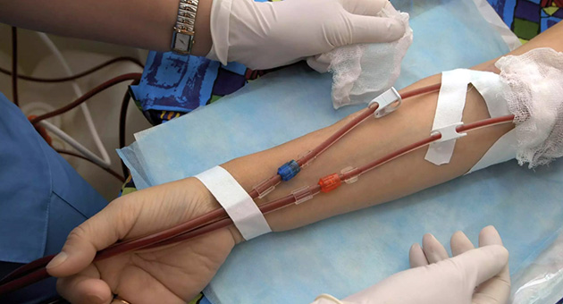 General Care and Procedures: Venous Access, RT-Foleys, ABG Sampling, ET suctioning, Early Warning Scores