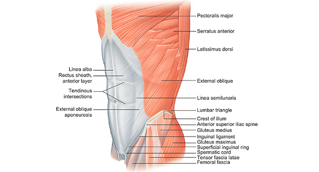 courseimage