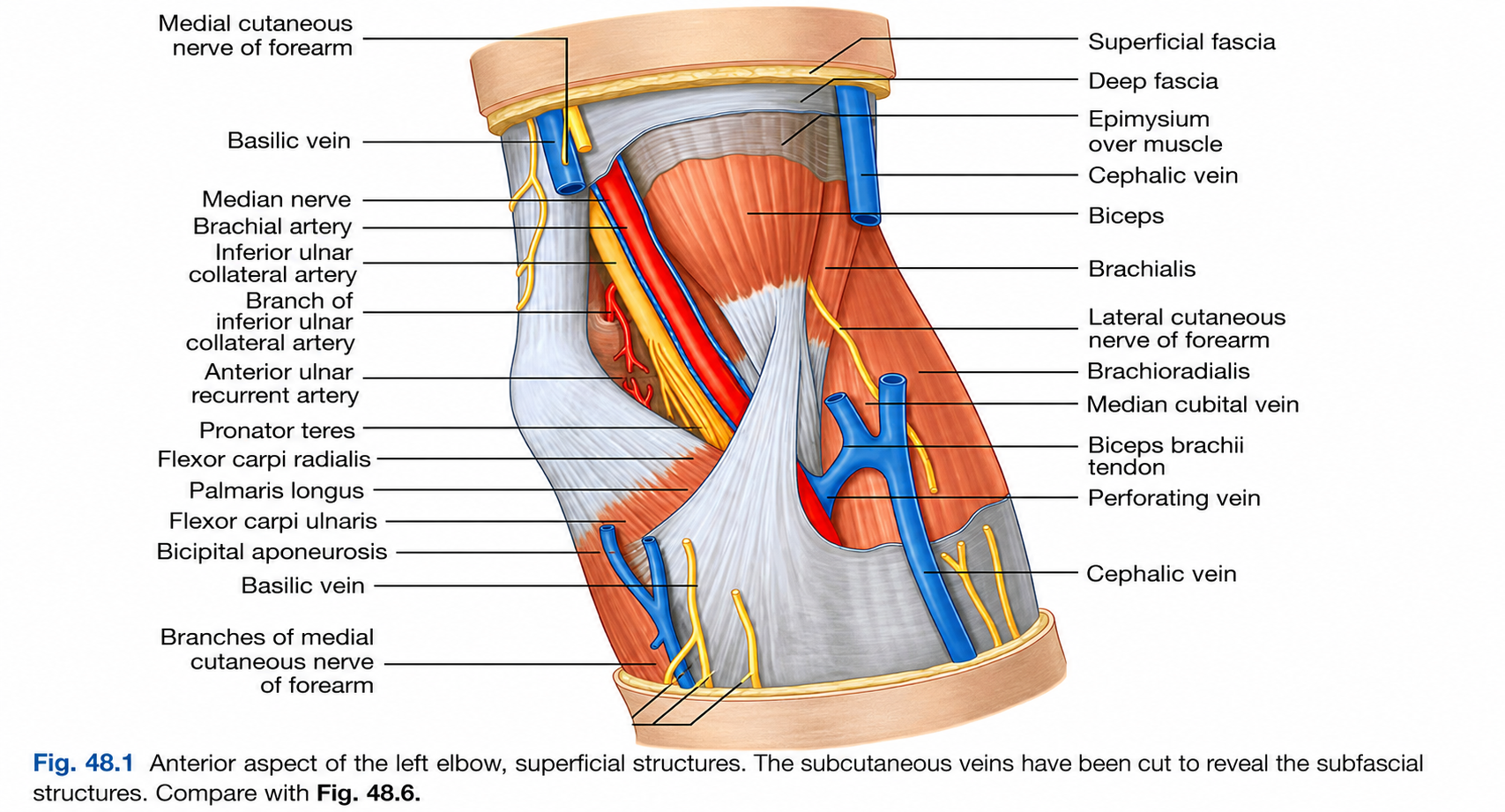 courseimage
