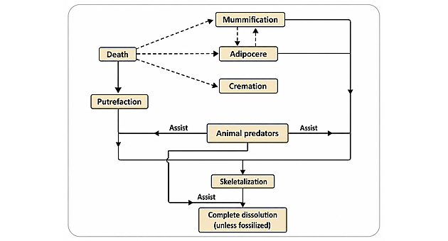 courseimage