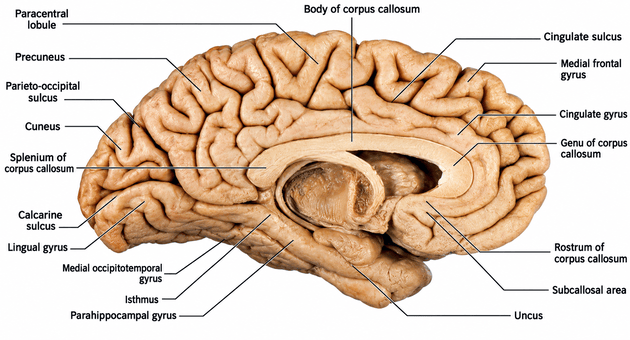 courseimage