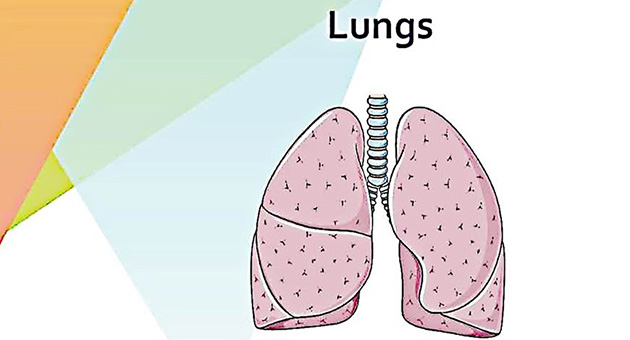 Tuberculosis and Respiratory Diseases