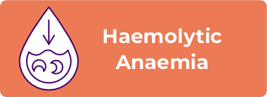Haemolytic Anemia