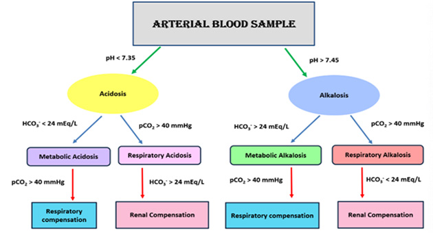 Interpretation of Arterial Blood Gas (ABG) Analysis