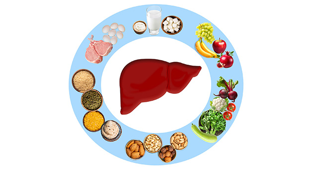 Nutrition Status Assessment in Adult Liver Disease Patients