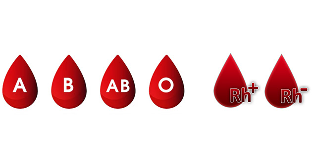 ABO and Rh Blood Group Systems