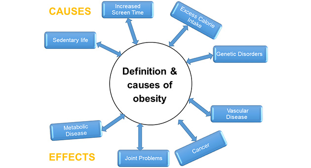 Definition & Causes of Obesity 